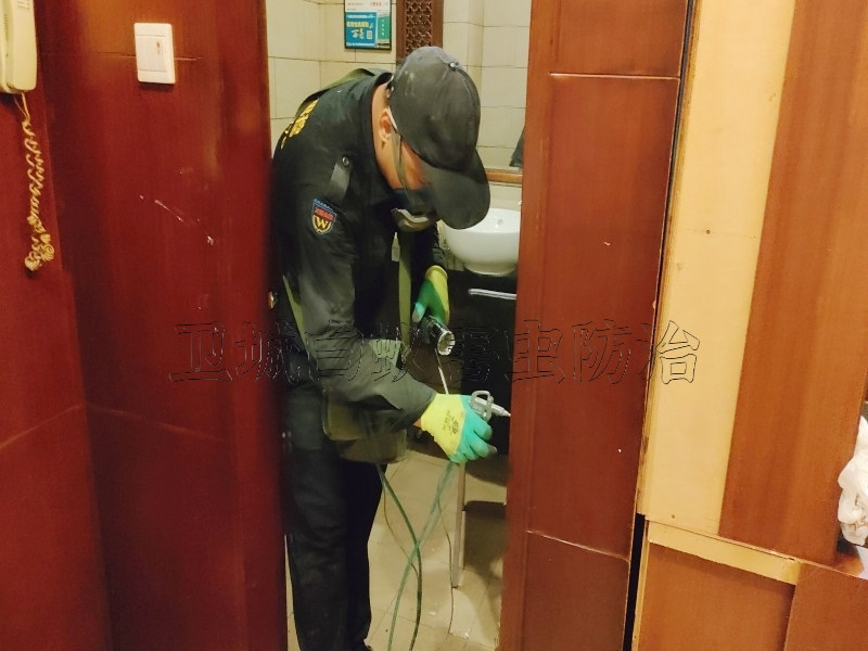 广州海珠白蚁防治