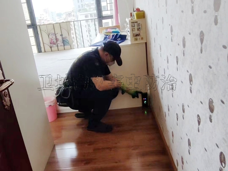 从化白蚁防治