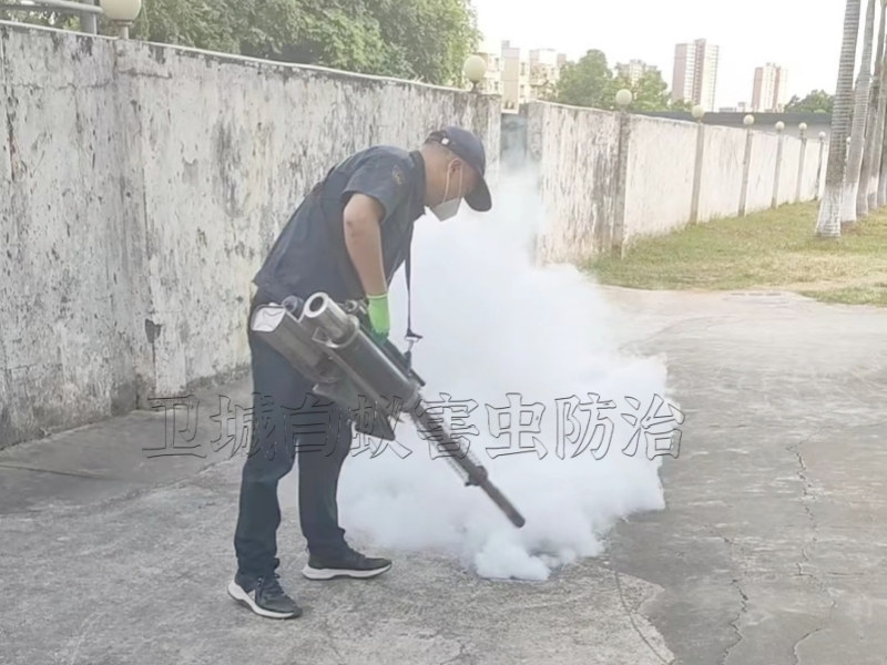 南山杀臭虫跳蚤