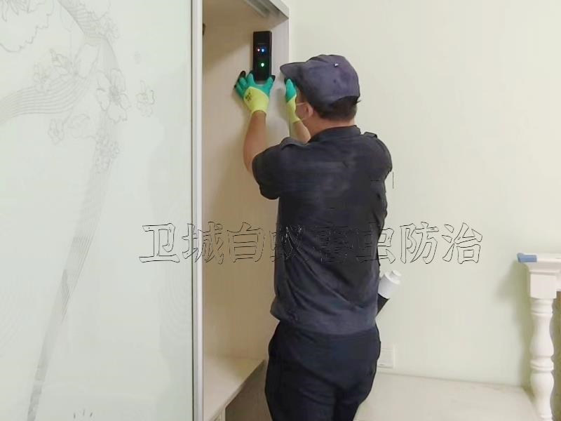 深圳罗湖白蚁防治
